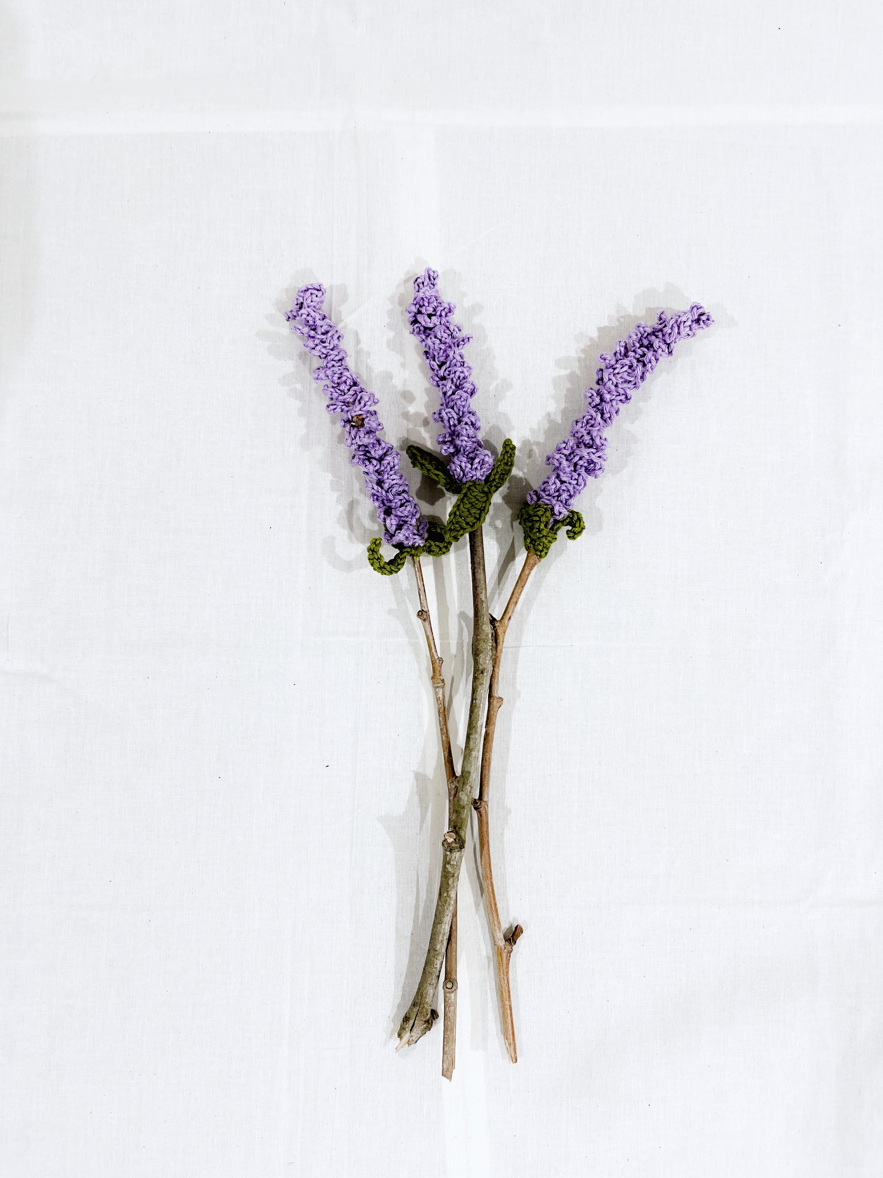 Uma Lavanda que Acalma & Acolhe