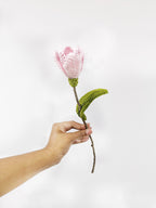 Uma Tulipa pra quem admiro tanto